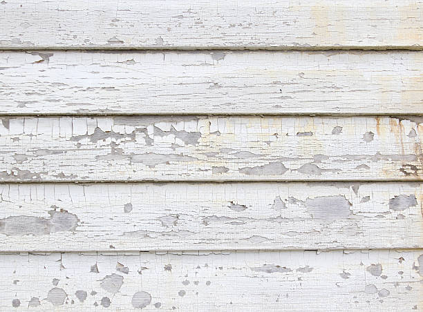 Best Siding Removal and Disposal  in Blakely, GA